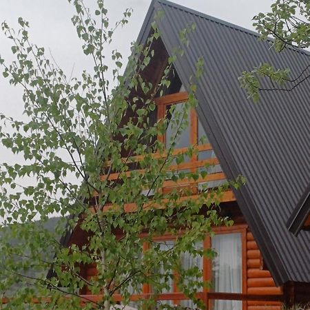 Villa Wood Borje Žabljak 外观 照片