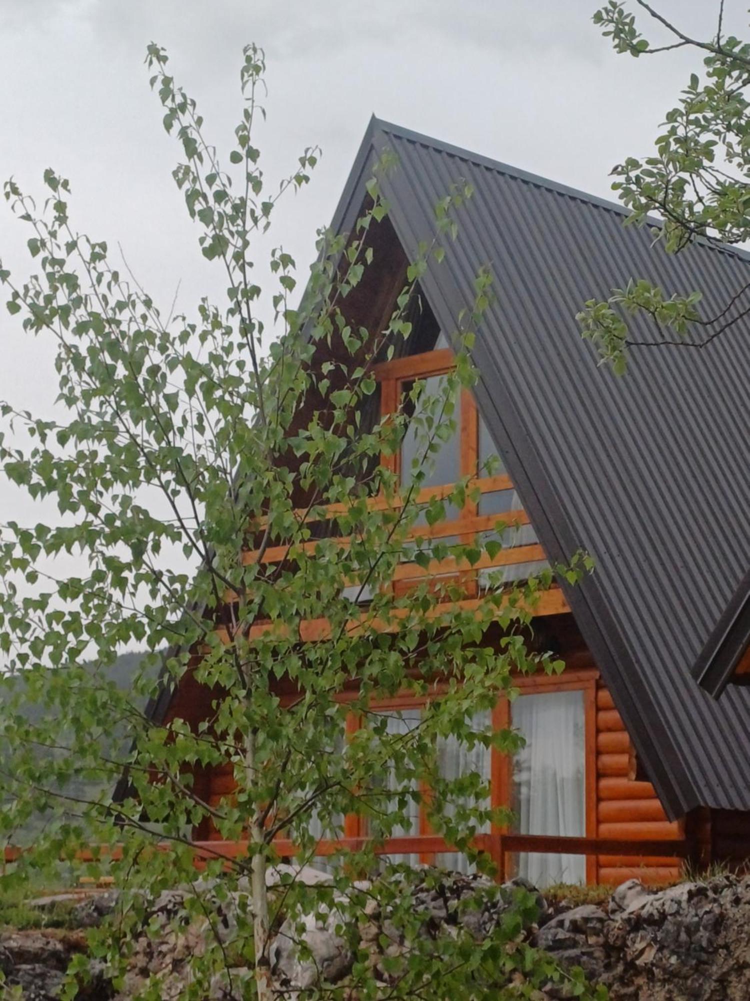 Villa Wood Borje Žabljak 外观 照片